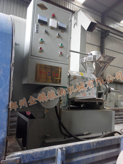 鄭州企鵝螺旋榨油機(jī)發(fā)貨現(xiàn)場(chǎng)