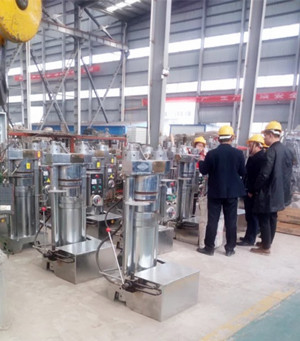 春意盎然的三月，來企鵝看榨油機可好(圖1)