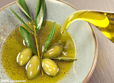 企鵝榨油機廠家說橄欖油的營養(yǎng)價值(圖2)