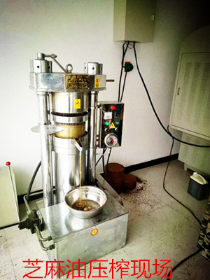 新買的榨油機(jī)設(shè)備磨合期應(yīng)該怎么操作(圖1)