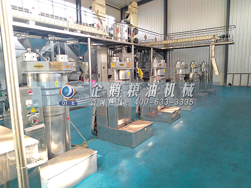 榨油機全套設備